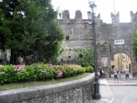 038_lonigo_2009_20091105_1217952695