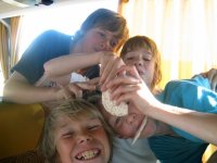 192_lonigo_2009_20091106_1370478288