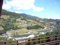 015_lonigo_2009_20091105_1179050804
