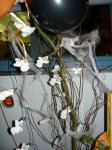 271_halloweenparty_2008_20091104_1211498246