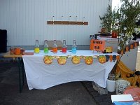 036_halloween_2010_20101122_1468305152