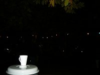 095_halloween_2011_20120120_1844950061