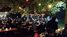 22_halloween-2016_20161103_1311619286